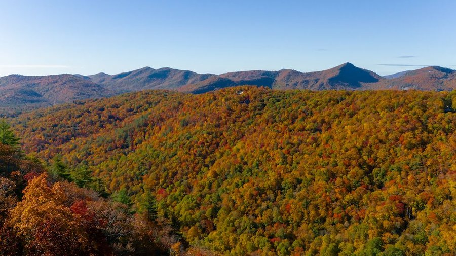 An undeveloped mountain lot on the Highlands-Cashiers Plateau, the kind of land a builder walks with a buyer before purchase